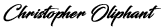 Bustque Construction Signature